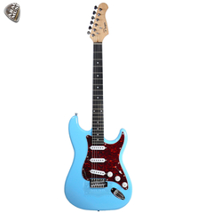 Guitarra Eléctrica Stratocaster Strato Amplificador G10w Cd