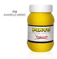 PINTURA ACR PINTO 100ML 713 AMA MED