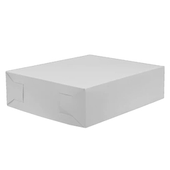 CAJA REGALO ESPECIAL 2 15X135X25