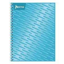 LIBRETA PROF NORMA 100H C5 en internet