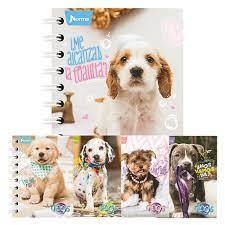 LIBRETA PROF DOGS 100H RY