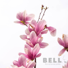 Magnolias - comprar online