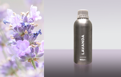 Lavanda