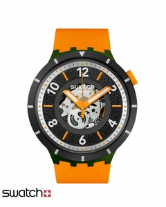 Reloj Swatch Power Of Nature Fall-iage SB03G107