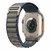 Apple Watch Ultra 2 [GPS + Cellular 49mm] Titanium Case with Blue Alpine Loop Medium ou Large na internet