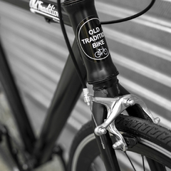 Imagen de NEW RICARDO FIXIE 21