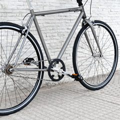 RICARDO FIXIE GRIS LACA - tienda online