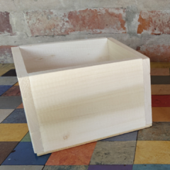 PINO MACETA CUBO 12X12 CM - comprar online