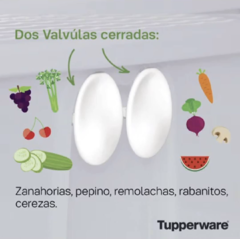 Refri Inteligente 8 Litros Marca Tupperware