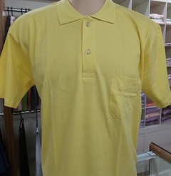 Camisa Gola Polo