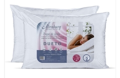 Kit com 2 Travesseiros Altenburg Dueto