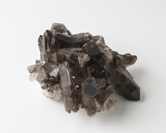 Smoky Quartz Clusters - Crystal Rio | Rocks & Minerals
