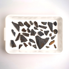Shungite with Pyrite Rough - buy online