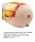 Imagen de Puching Ball Gladiador Inflable Boxeador Involcable