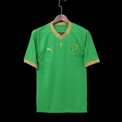 Camisa Palmeiras Edição Especial 21-22