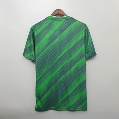 Camisa Irlanda Home 20-21 na internet