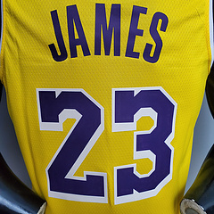 Lakers Home #23 - comprar online