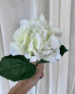 Vara de hortensia blanca - comprar online