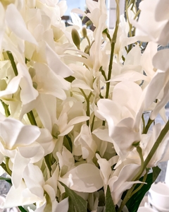 Vara flor blanca