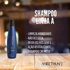Shampoo Linha A Aneethun Profissional 300ml - Comprebem Comprejá