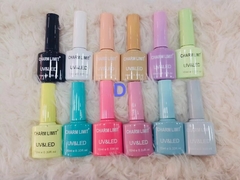 CHARM LIMIT ESMALTE NUEVOS TAPA MISMO COLOR X12UN - Chamer