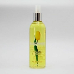 Elegance Body Splash - comprar online