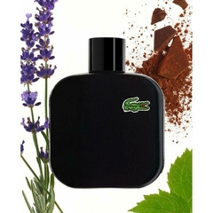 Eau de Lacoste L.12.12. Noir - comprar online