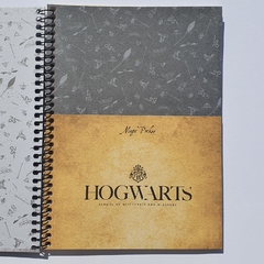 Caderno Colegial Harry Potter 80 folhas - Capa Gelo - Jandaia na internet