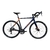 BICICLETA R28 ZION PEGASO (LTWOO 2X9 VEL)