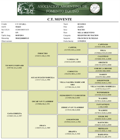 CT Movente - Centro Ecuestre San Patricio