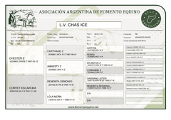 L.V Chas Ice - Centro Ecuestre San Patricio