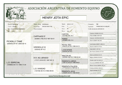 Henry Jota Epic - tienda online