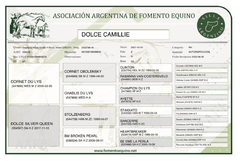 Dolce Camillie - tienda online