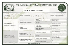 Henry Jota Viedma I - tienda online