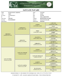 Santa Fe Navajo en internet