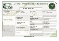 KF Royal Apache - tienda online