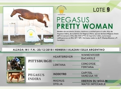 Pegasus Pretty Woman - Centro Ecuestre San Patricio