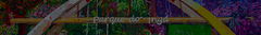 Banner da categoria Maringá - PR