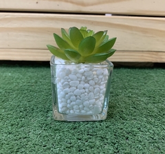 Mini Vaso de Vidro com Planta Artificial na internet