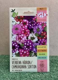 Sementes de Verbena Híbrida Camaradinha Sortida 100mg