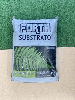 Substrato Para Samambaias Forth 2kg