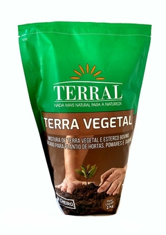 Terra Vegetal 2kg Terral