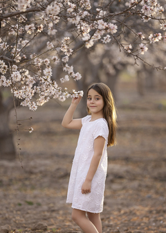 Vestido de Voile Bordado con Relieve Moulin. ME