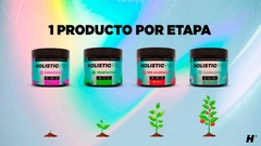 HOLISTIC PRO VEGETATIVO 25gr * FERTILIZANTE PH PERFECT * - thegreenmind