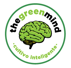 thegreenmind