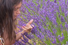 Hidrolato de Lavanda