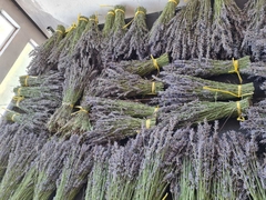 Ramo de Flores de lavanda Angustifolia en internet