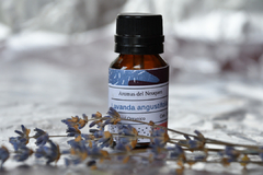 Aceite esencial Lavanda Angustifolia 10 ml