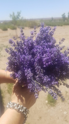 Flores secas de lavanda Angustifolia (agroecologicas) - Aromas del Neuquen