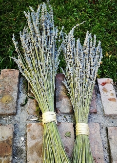 Ramo de Flores de lavanda en internet